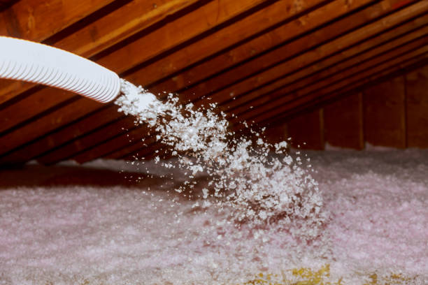 Types of Insulation We Offer in Havelock, NC
